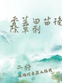 香菜田苗后阔叶除草剂
