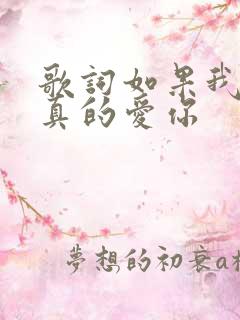 歌词如果我说我真的爱你