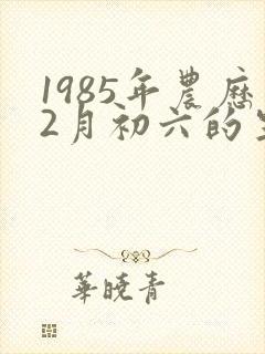 1985年农历2月初六的生辰八字