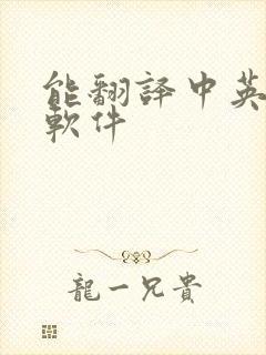能翻译中英文的软件