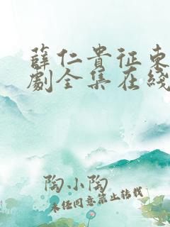 薛仁贵征东电视剧全集在线观看