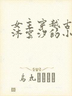 女主穿越古代叫沐云汐的小说