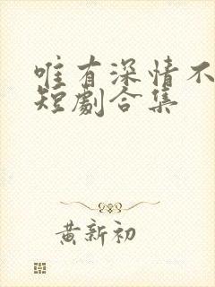 唯有深情不可负短剧合集