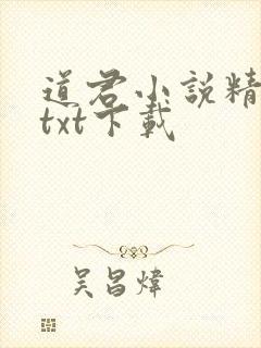 道君小说精校版txt下载