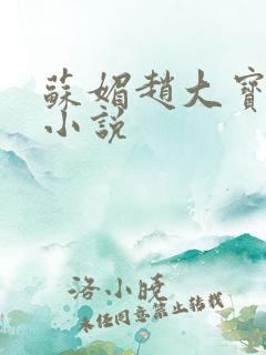 苏媚赵大宝全文小说