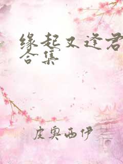 缘起又逢君短剧合集
