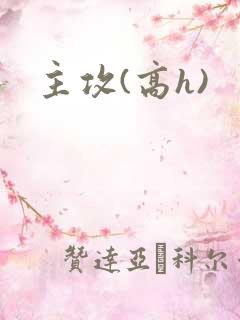 主攻(高h)