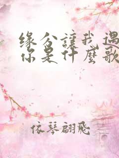 缘分让我遇见了你是什么歌名 缘分让我遇见了你是什么歌名