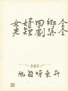 女婿回乡全村风光短剧集全