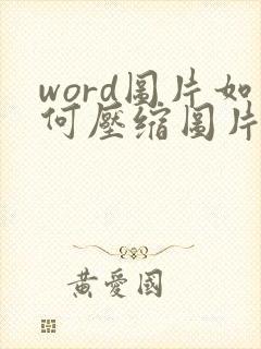 word图片如何压缩图片大小