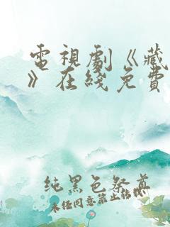 电视剧《藏海传》在线免费