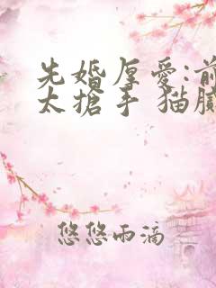 先婚厚爱:前妻太抢手 猫腻君 先婚厚爱:前妻太抢手 猫腻君