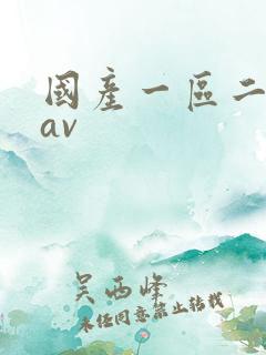 国产一区二区 av