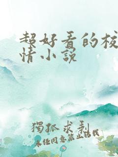 超好看的校园言情小说