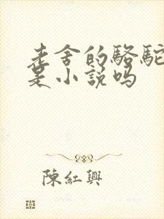 老舍的骆驼祥子是小说吗
