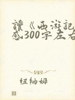 读《西游记》有感300字左右