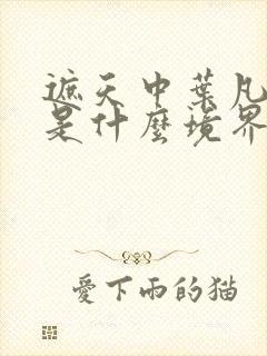 遮天中叶凡最后是什么境界