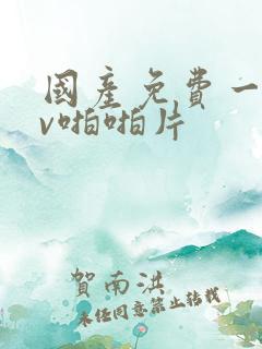 国产免费一级av啪啪片