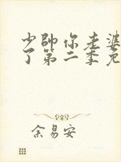 少帅你老婆又跑了第二季免费全集 少帅你老婆又跑了第二季免费全集