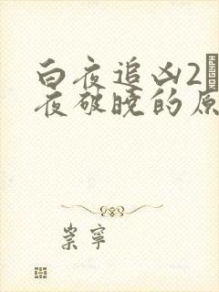 白夜追凶2·白夜破晓的原著