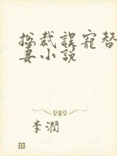总裁误宠替身甜妻小说