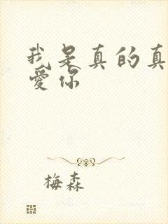 我是真的真的很爱你