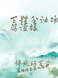 下体分泌物为豆腐渣样