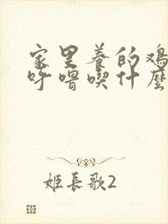 家里养的鸡呼噜呼噜吃什么药 家里养的鸡呼噜呼噜吃什么药