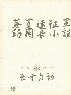 华夏远征军之我的团长小说