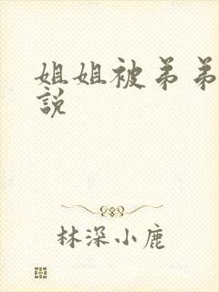 姐姐被弟弟艹小说