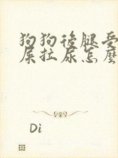 狗狗后腿受伤拉屎拉尿怎么办 狗狗后腿受伤拉屎拉尿怎么办