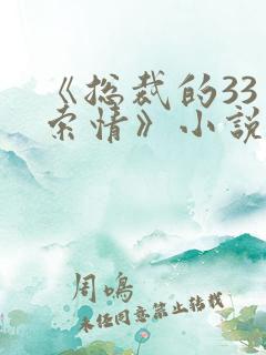 《总裁的33日索情》小说
