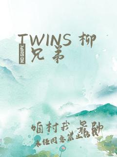 TWINS 柳澤兄弟 TWINS 柳澤兄弟