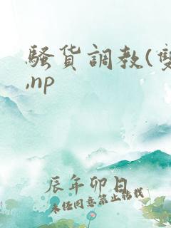 骚货调教(双性,np