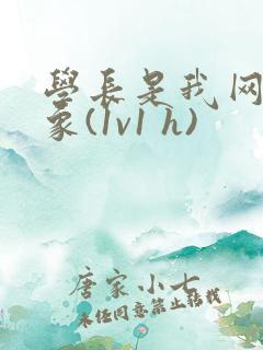 学长是我网恋对象(1v1 h)