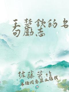 王楚钦的名言名句励志
