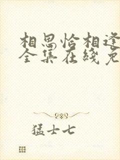 相思恰相逢短剧全集在线免费观看