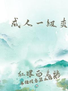 成人一级爽片