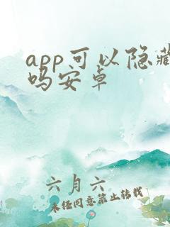 app可以隐藏吗安卓