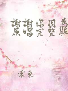 谢谢你因为有你原唱完整版