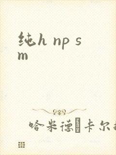 纯h np sm