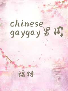 chinesegaygay男同