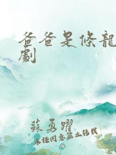 爸爸是条龙电视剧
