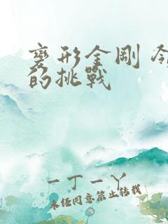 变形金刚 领袖的挑战