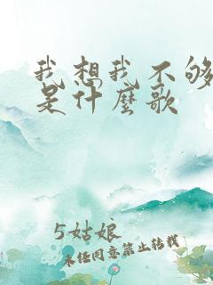 我想我不够爱你是什么歌