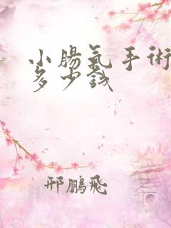 小肠气手术费要多少钱
