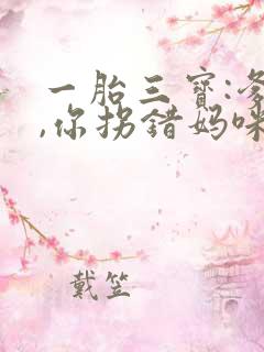 一胎三宝:爹地,你拐错妈咪了