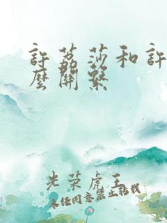 许荔莎和许凯什么关系