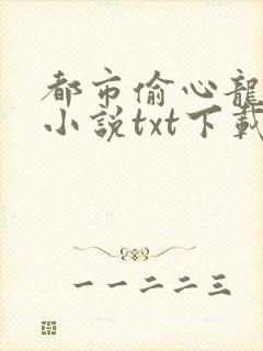 都市偷心龙爪手小说txt下载