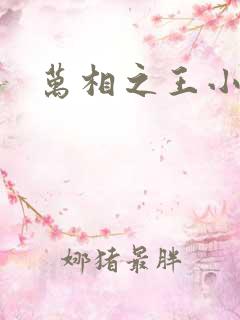 万相之王小说了